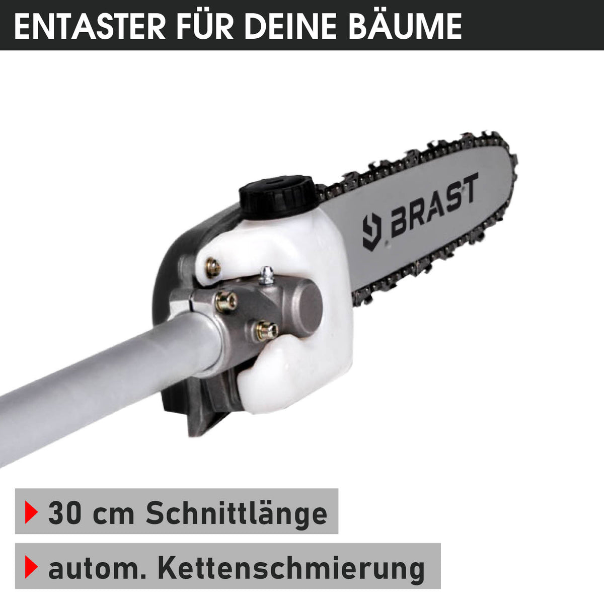 BRAST  6in1 Benzin Motorsense 4-Takt 3805