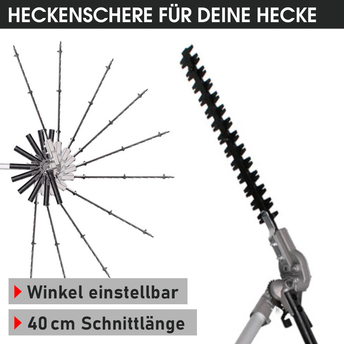 BRAST  6in1 Benzin Motorsense 4-Takt 3805