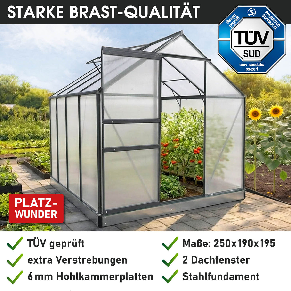 BRAST Aluminium-Gewächshaus 250x190x195 Anthrazit