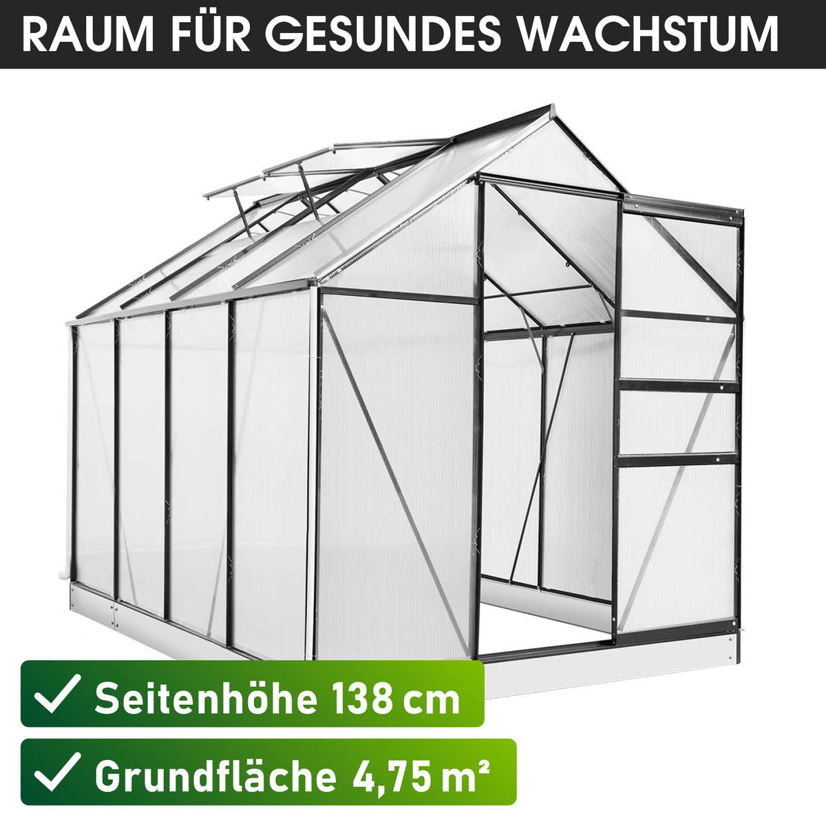 BRAST Aluminium-Gewächshaus 250x190x195 Anthrazit