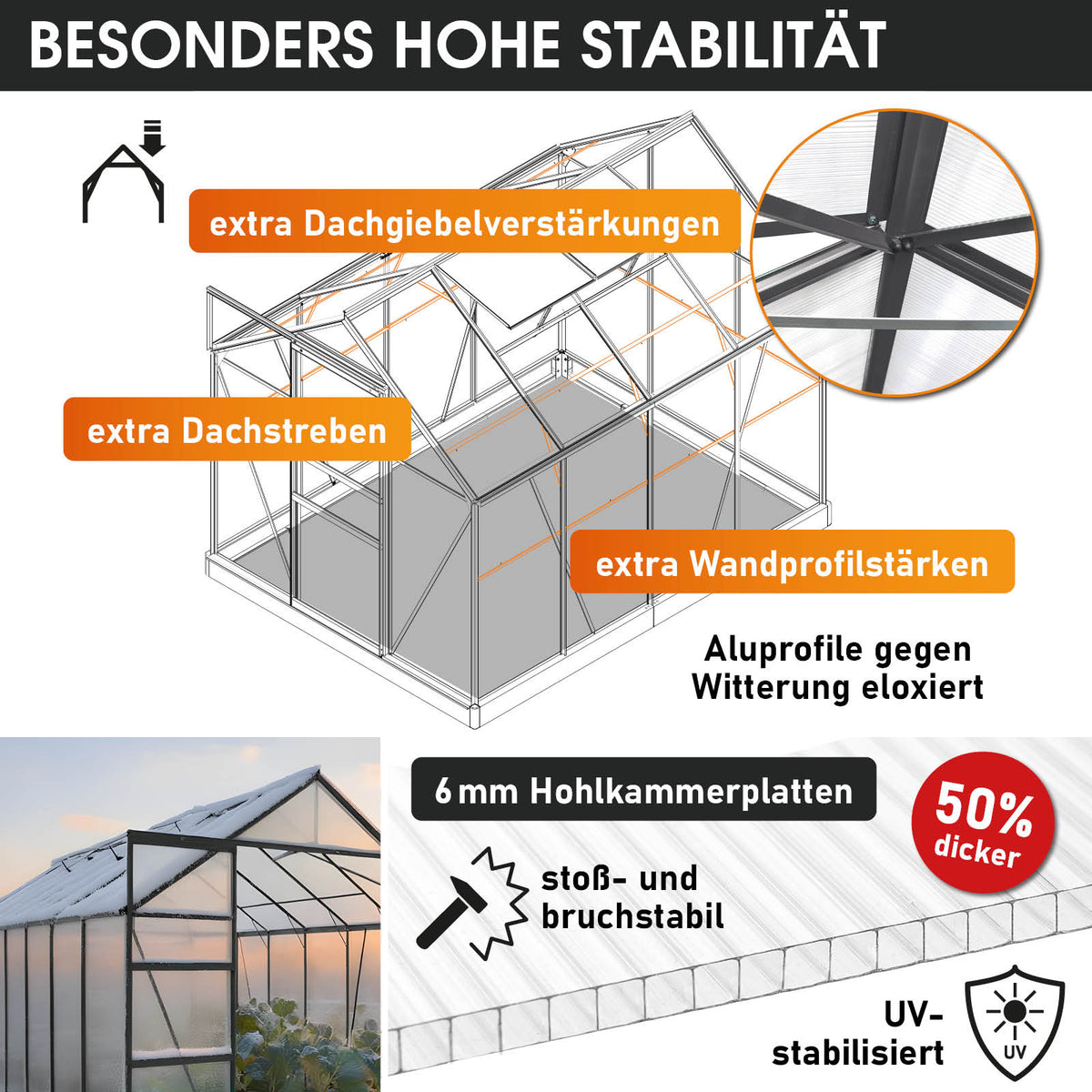 BRAST Aluminium-Gewächshaus 250x190x195 Anthrazit