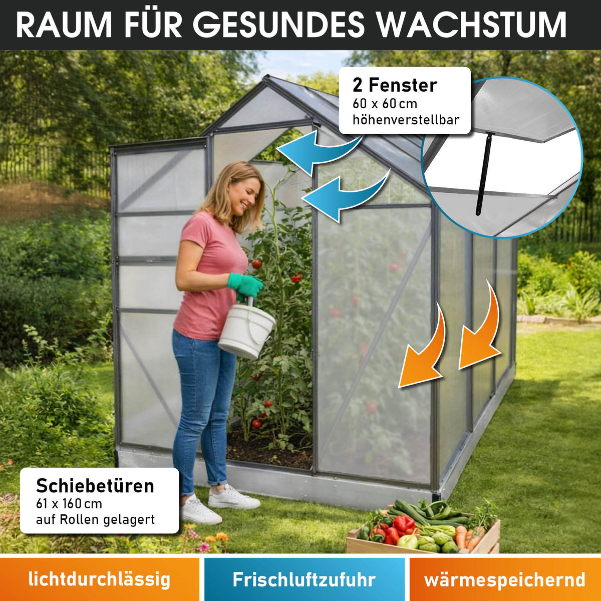 BRAST Aluminium-Gewächshaus 250x190x195 Anthrazit