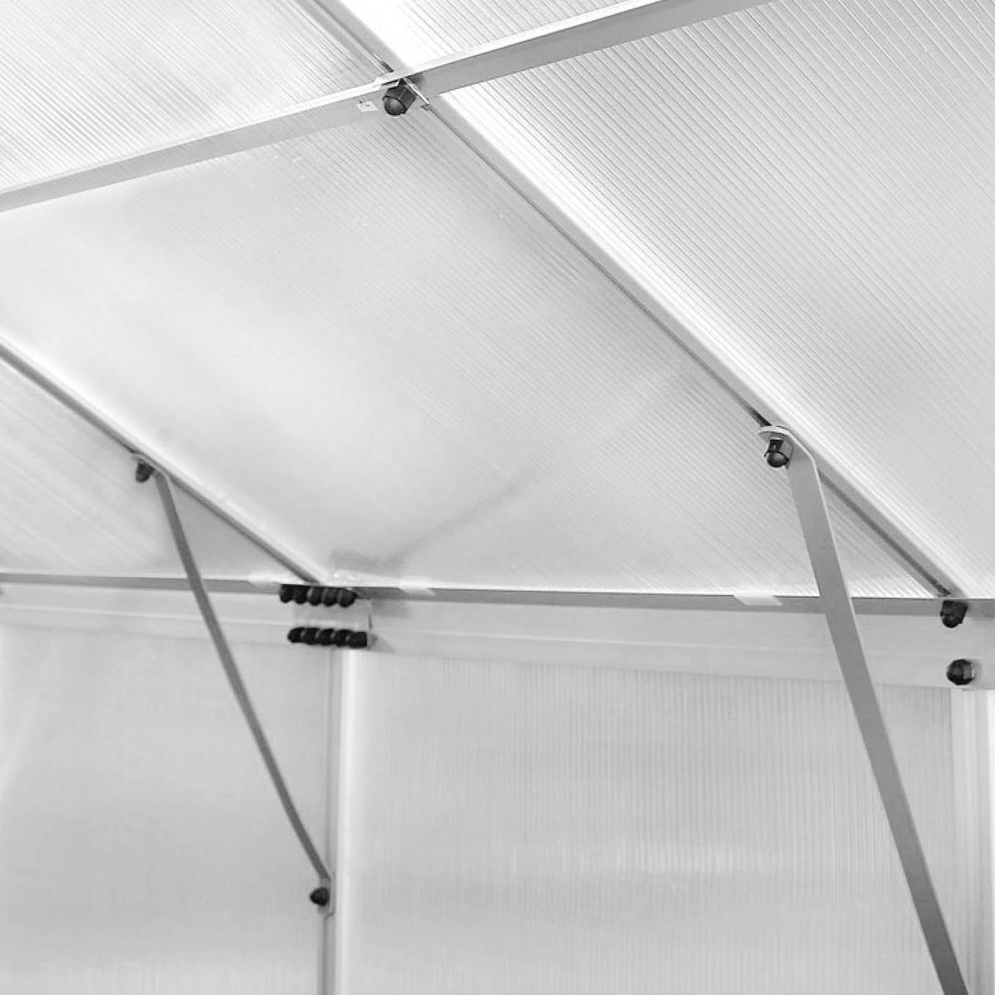 Aluminium Gewächshaus 250x190x195