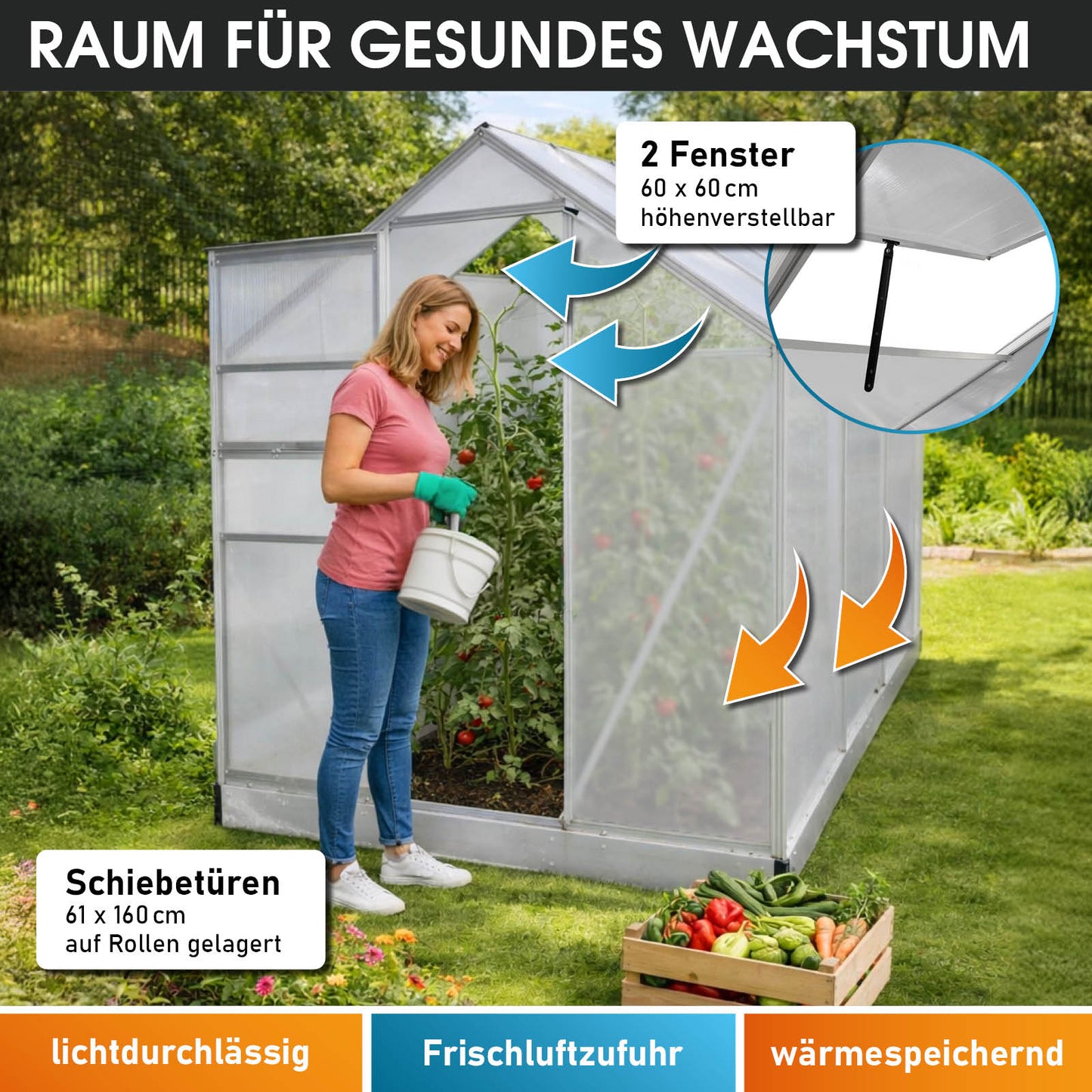 Aluminium Gewächshaus 250x190x195