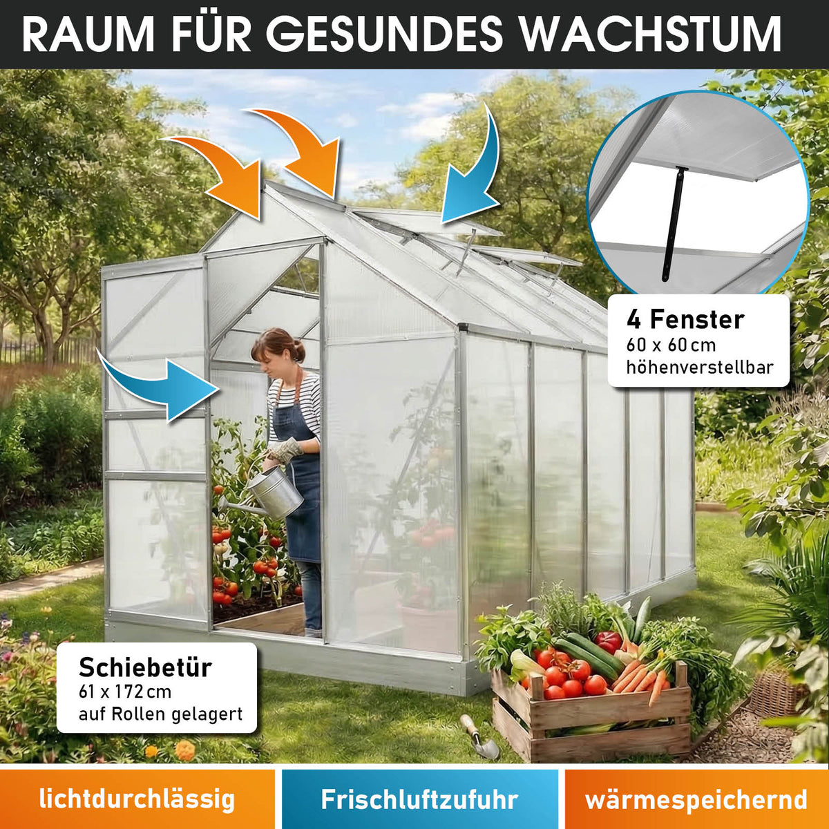 Aluminium-Gewächshaus 310x190x195