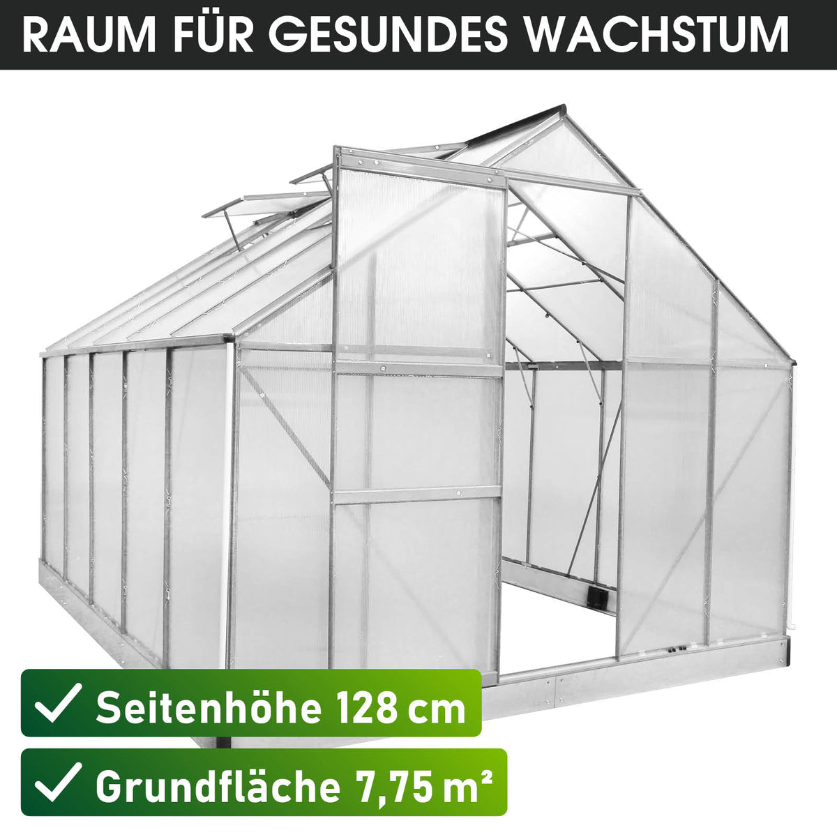 Aluminium-Gewächshaus 310x250x205