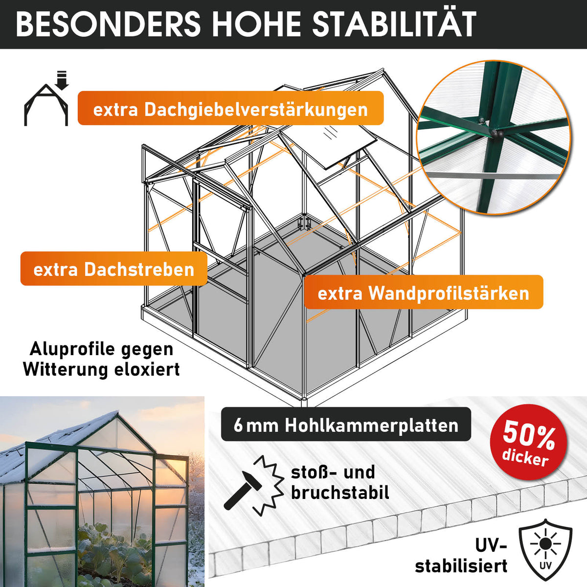 Aluminium-Gewächshaus 190x190x195 Alu-Profile Grün