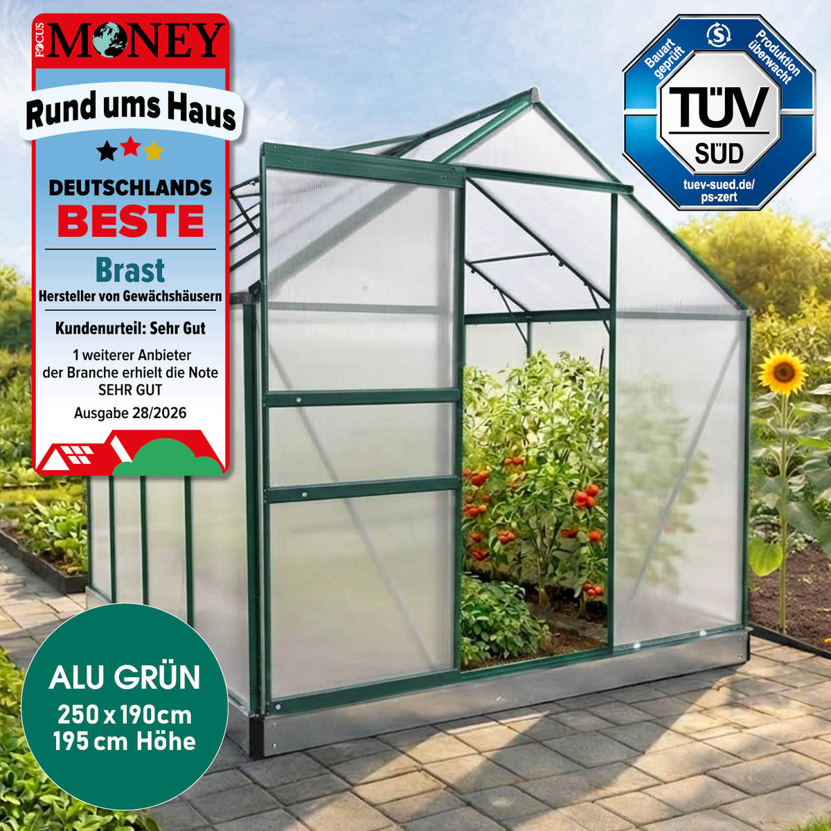 Aluminium-Gewächshaus 250x190x195 Alu-Profile Grün