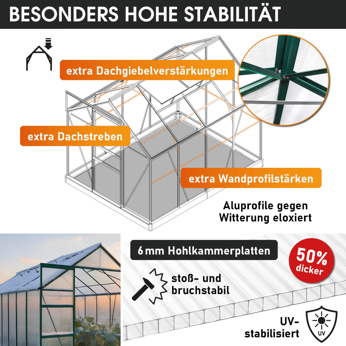 Aluminium-Gewächshaus 250x190x195 Alu-Profile Grün