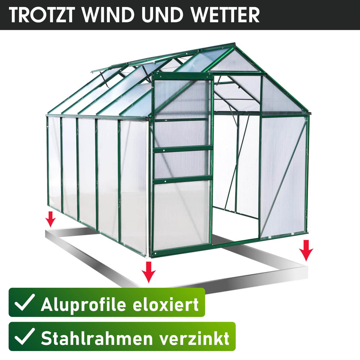 Aluminium-Gewächshaus 310x190x195 Alu-Profile Grün