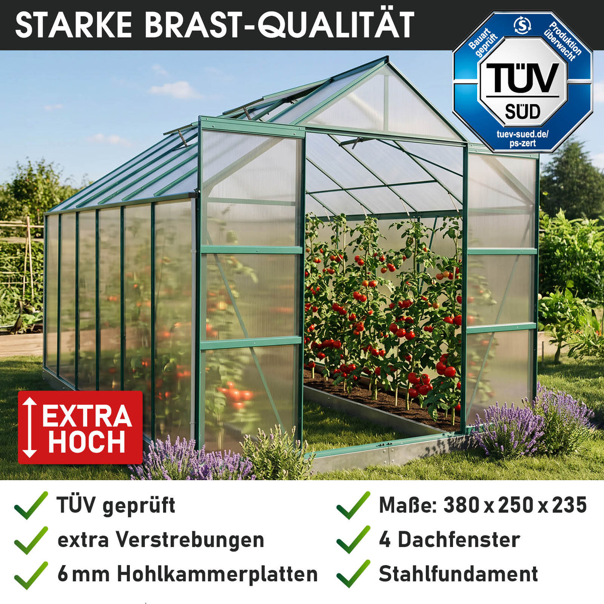 Aluminium-Gewächshaus 380x250x235 Alu-Profile Grün