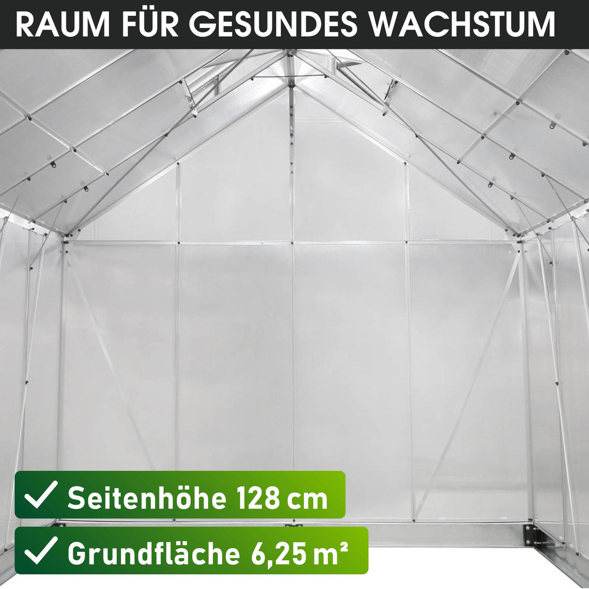 Aluminium-Gewächshaus 250x250x205