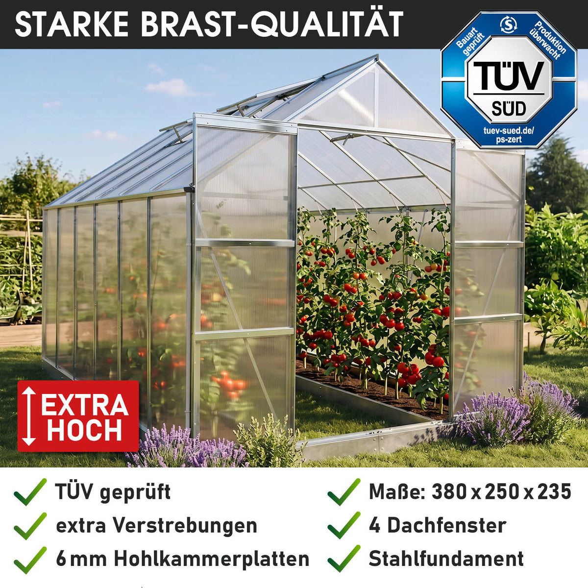 BRAST Aluminium-Gewächshaus 380x250x235