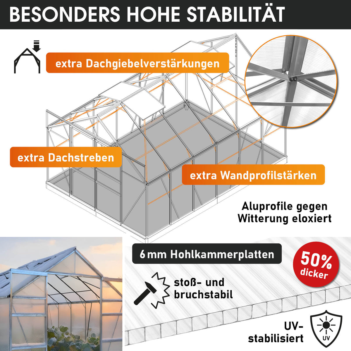 BRAST Aluminium-Gewächshaus 380x250x235