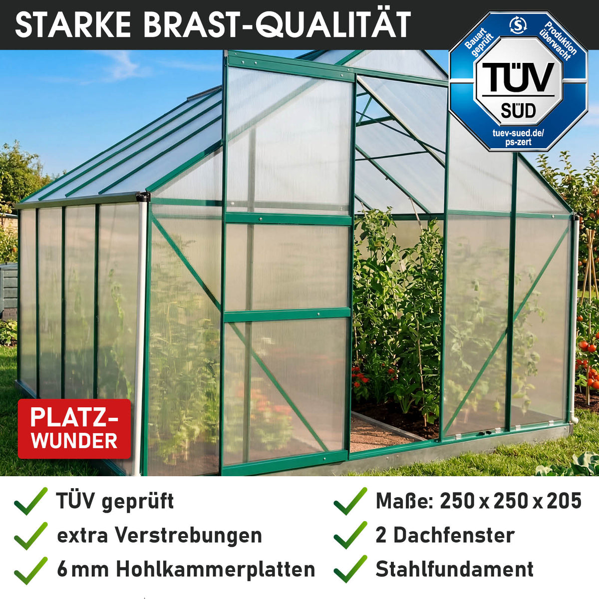 BRAST Aluminium-Gewächshaus 250x250x205 Alu-Profile Grün