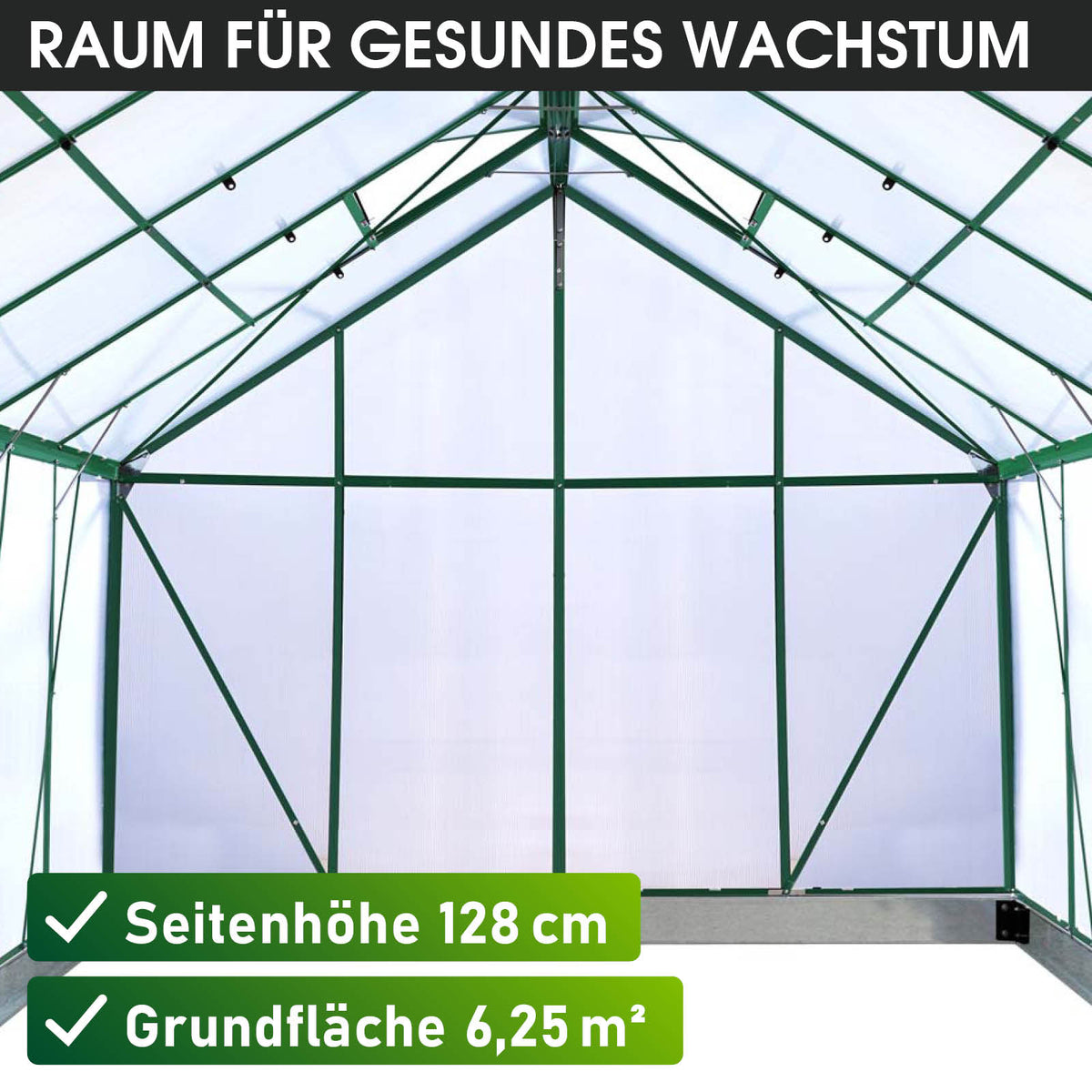 BRAST Aluminium-Gewächshaus 250x250x205 Alu-Profile Grün