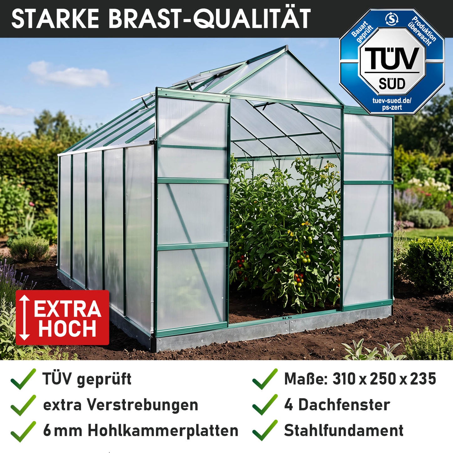 BRAST Aluminium-Gewächshaus 310x205x235 Alu-Profile Grün