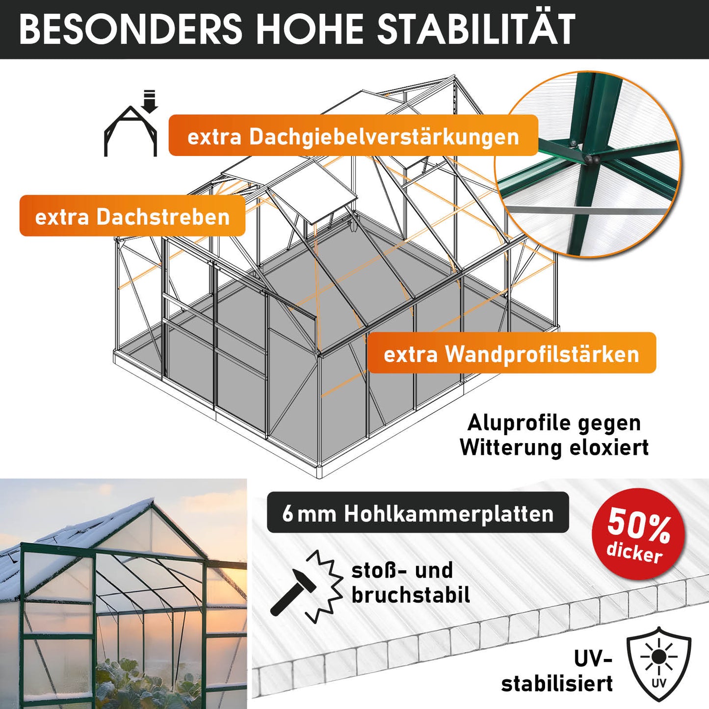 BRAST Aluminium-Gewächshaus 310x205x235 Alu-Profile Grün