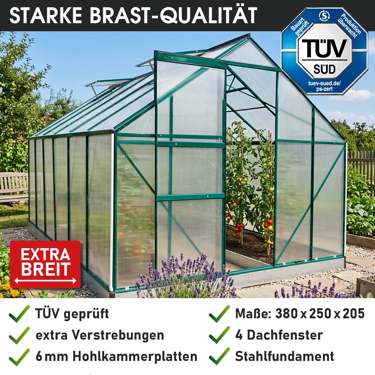 BRAST Aluminium-Gewächshaus 380x250x205 Alu-Profile Grün