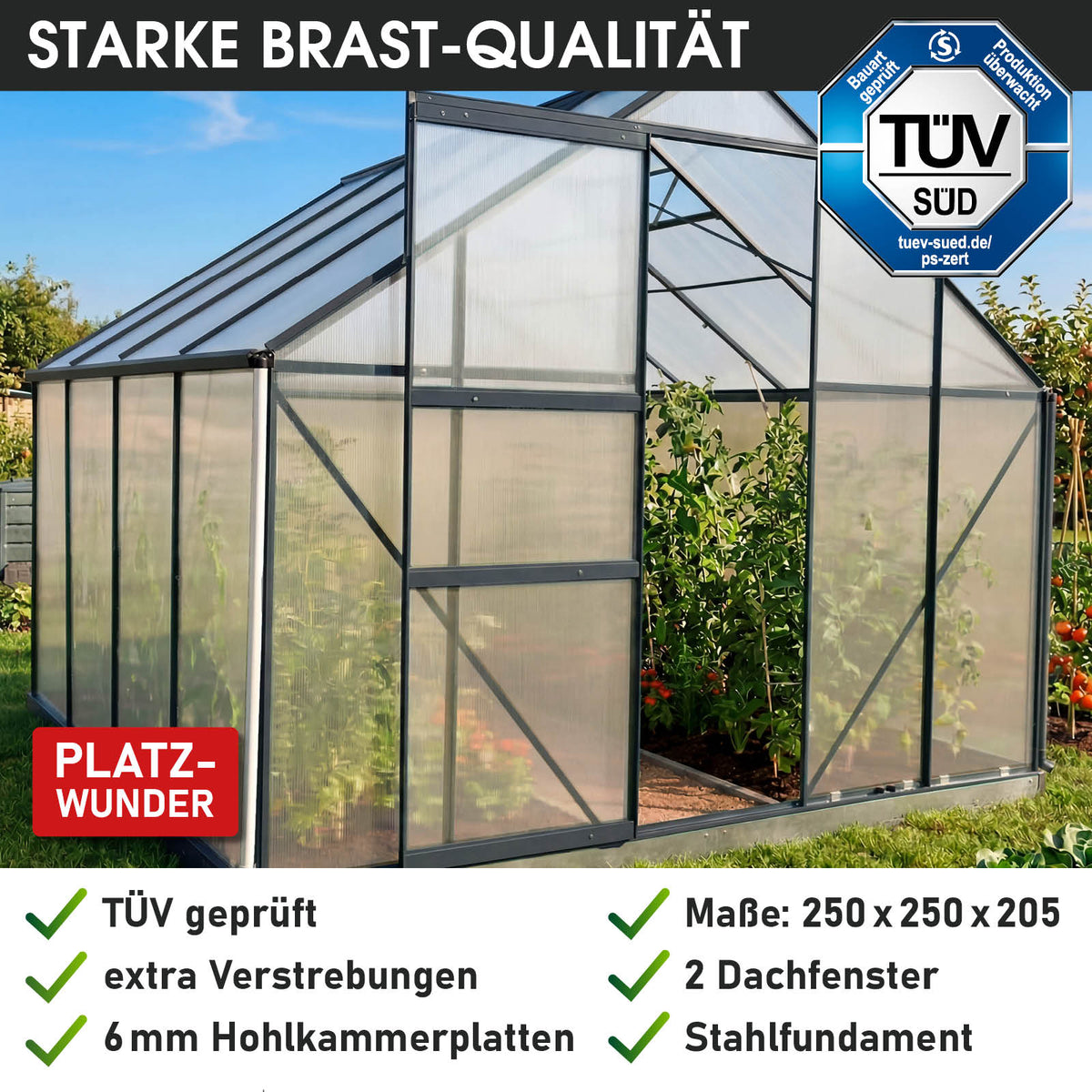 BRAST Aluminium-Gewächshaus 250x250x205 Anthrazit
