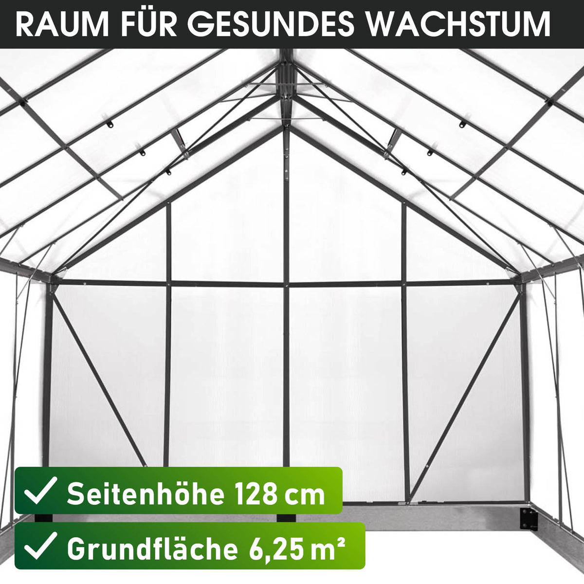 BRAST Aluminium-Gewächshaus 250x250x205 Anthrazit