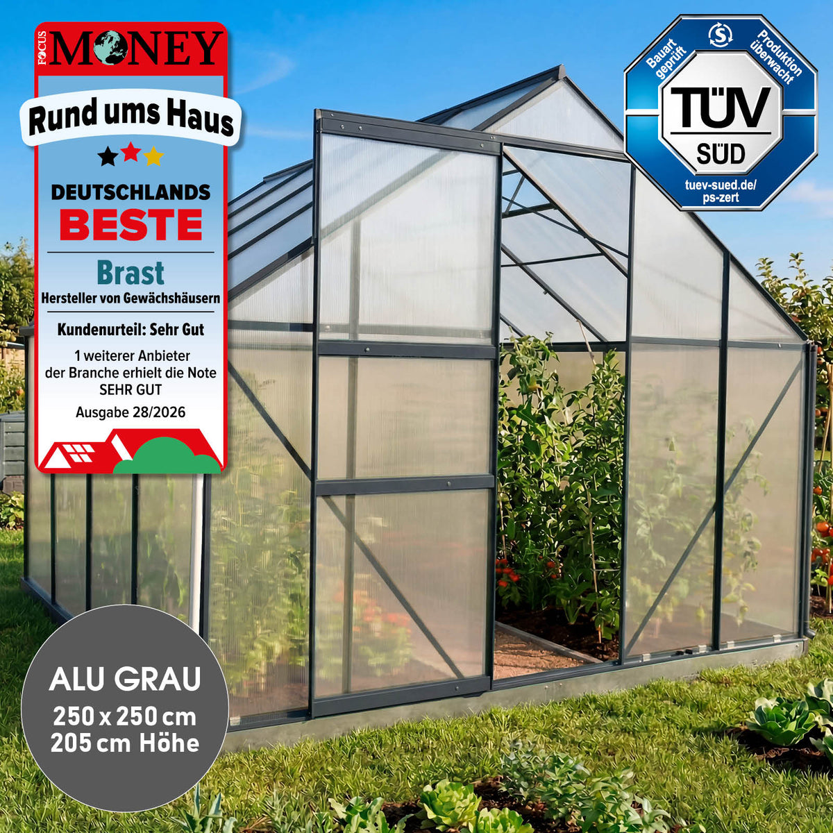 BRAST Aluminium-Gewächshaus 250x250x205 Anthrazit