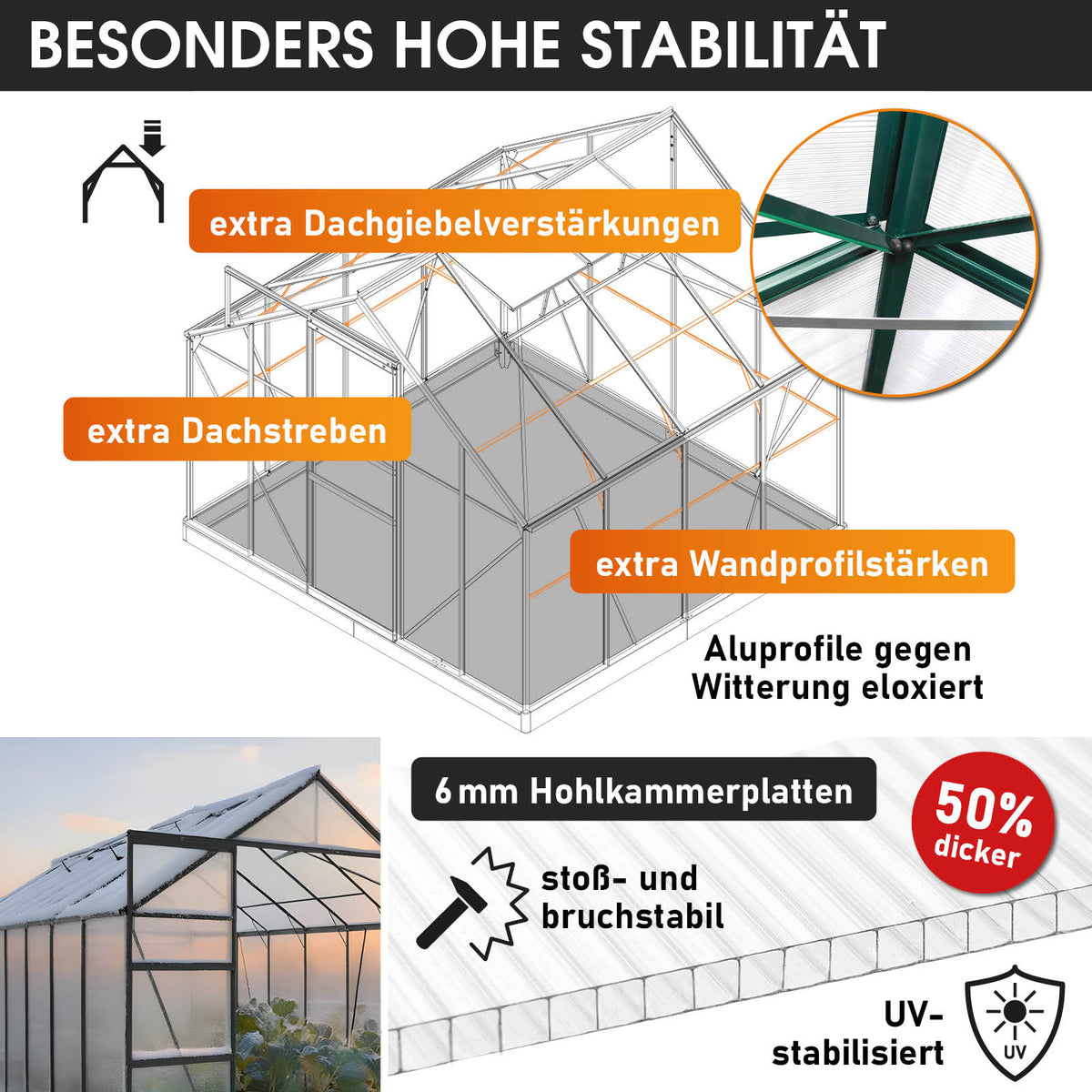 BRAST Aluminium-Gewächshaus 250x250x205 Anthrazit