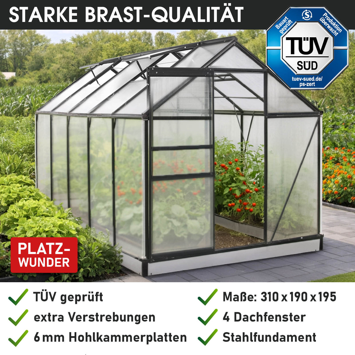 BRAST Aluminium-Gewächshaus 310x190x195 Anthrazit
