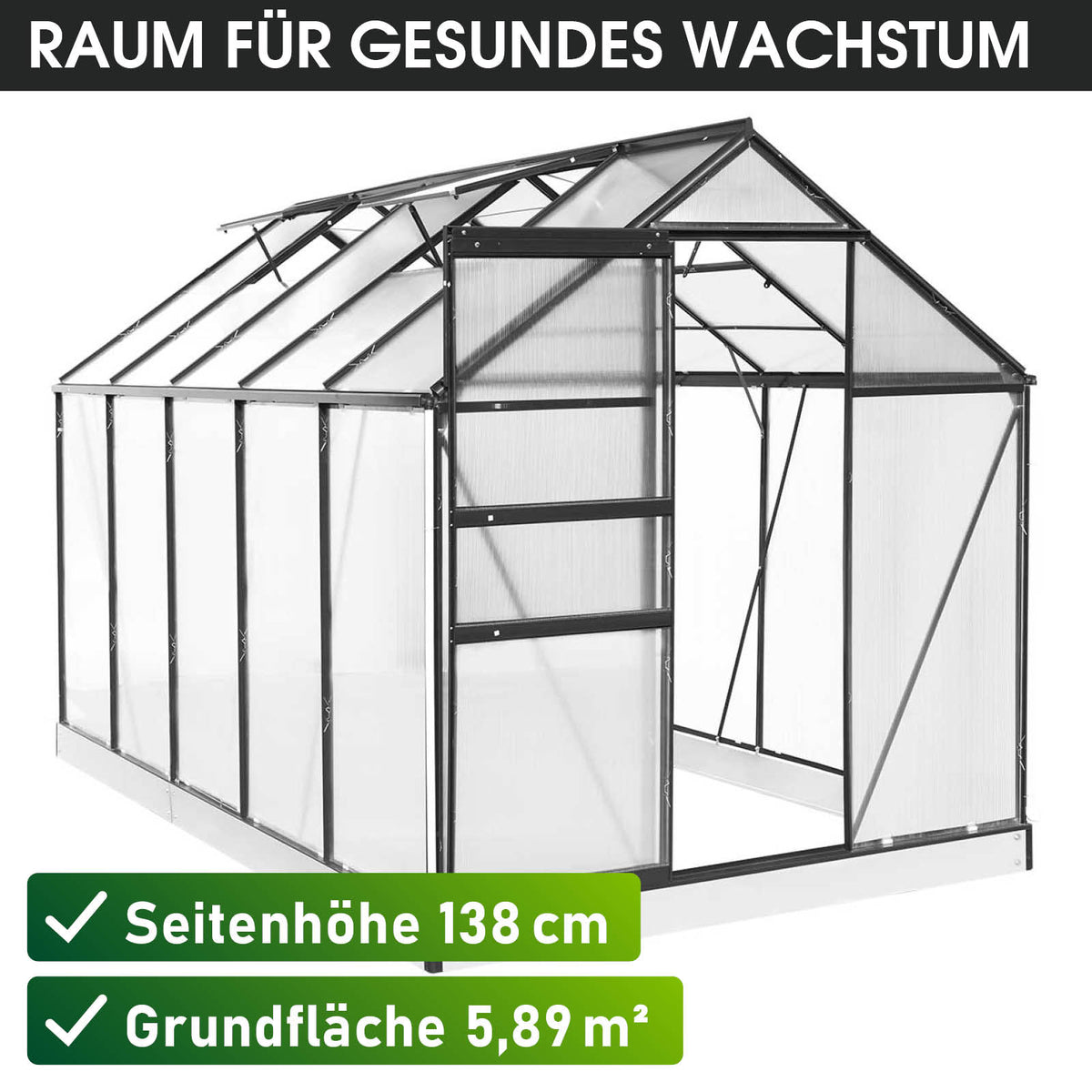 BRAST Aluminium-Gewächshaus 310x190x195 Anthrazit