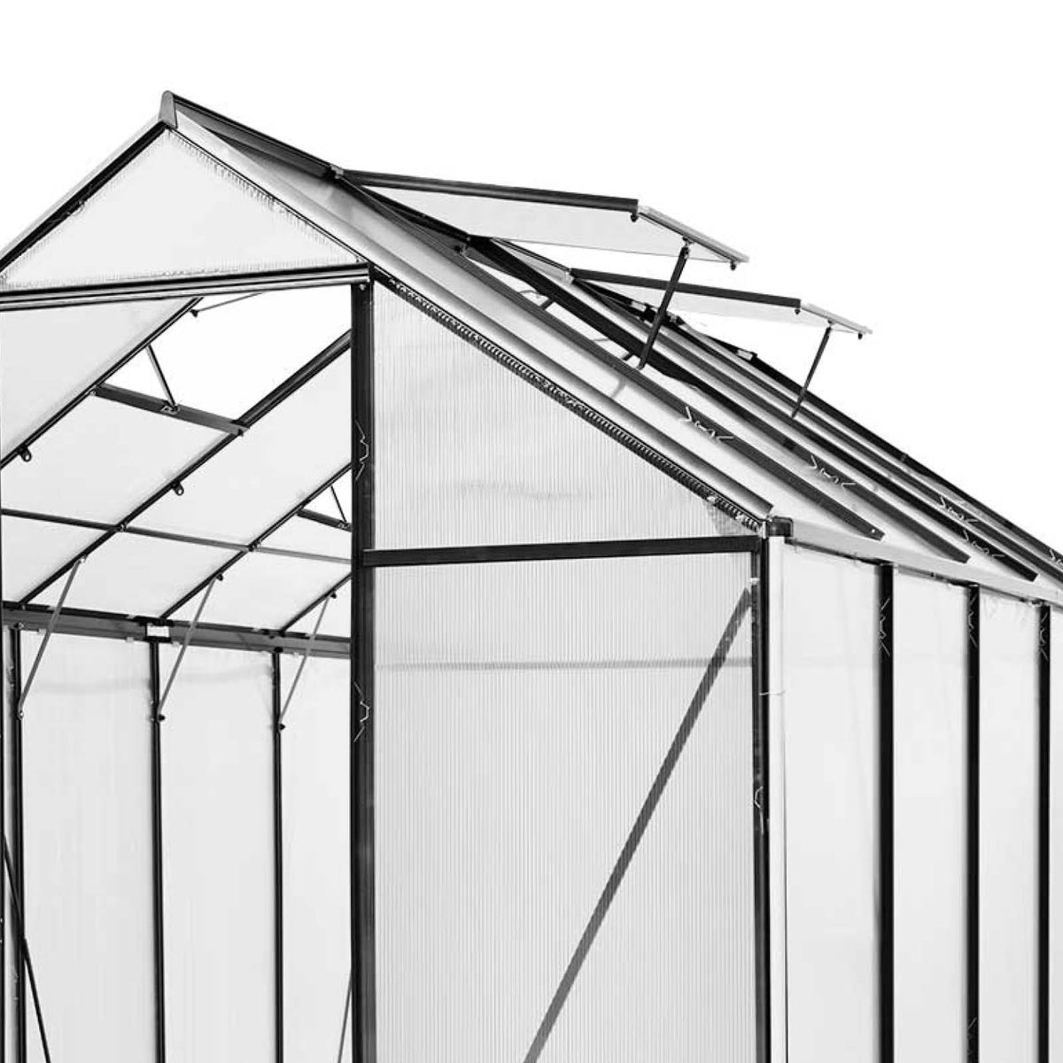 BRAST Aluminium-Gewächshaus 310x190x195 Anthrazit