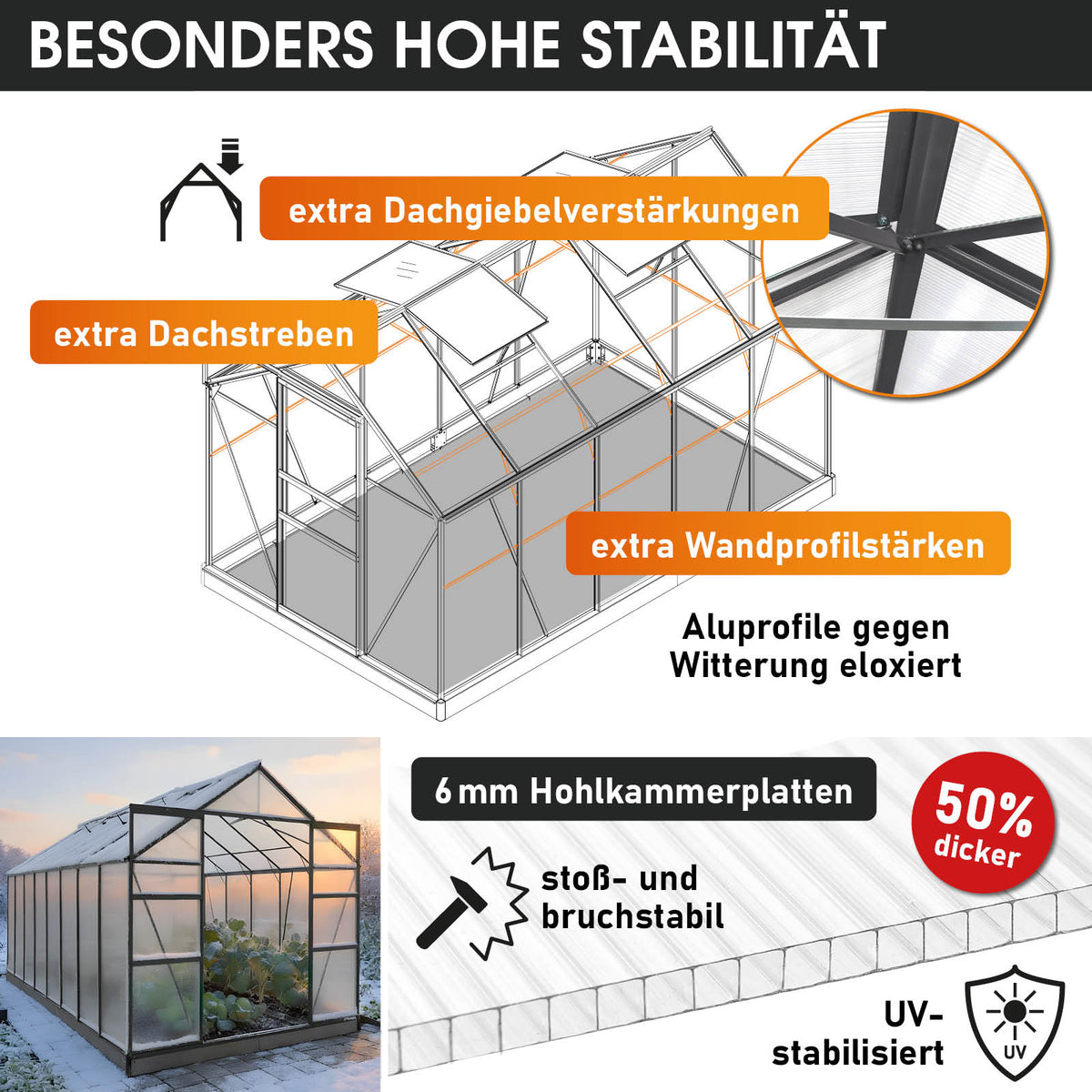 BRAST Aluminium-Gewächshaus 310x190x195 Anthrazit