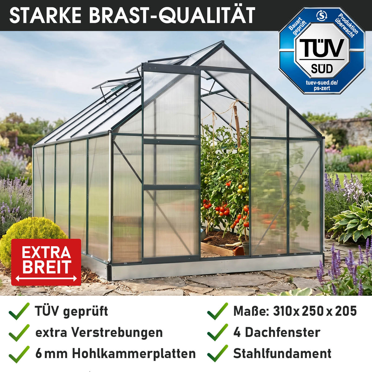 BRAST Aluminium-Gewächshaus 310x250x205 Anthrazit