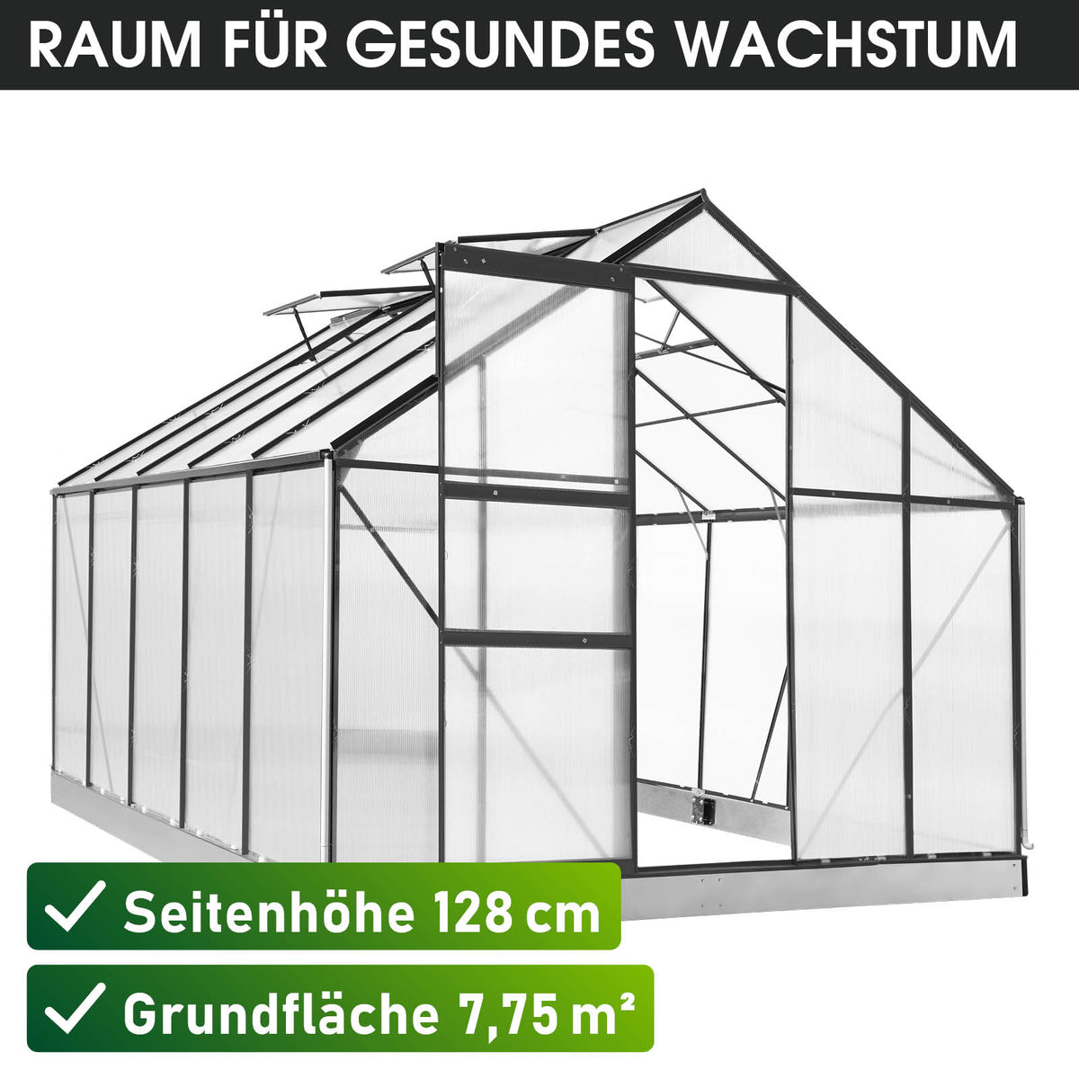 BRAST Aluminium-Gewächshaus 310x250x205 Anthrazit