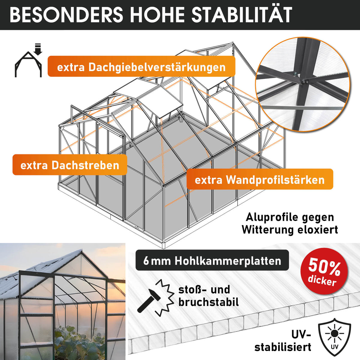 BRAST Aluminium-Gewächshaus 310x250x205 Anthrazit