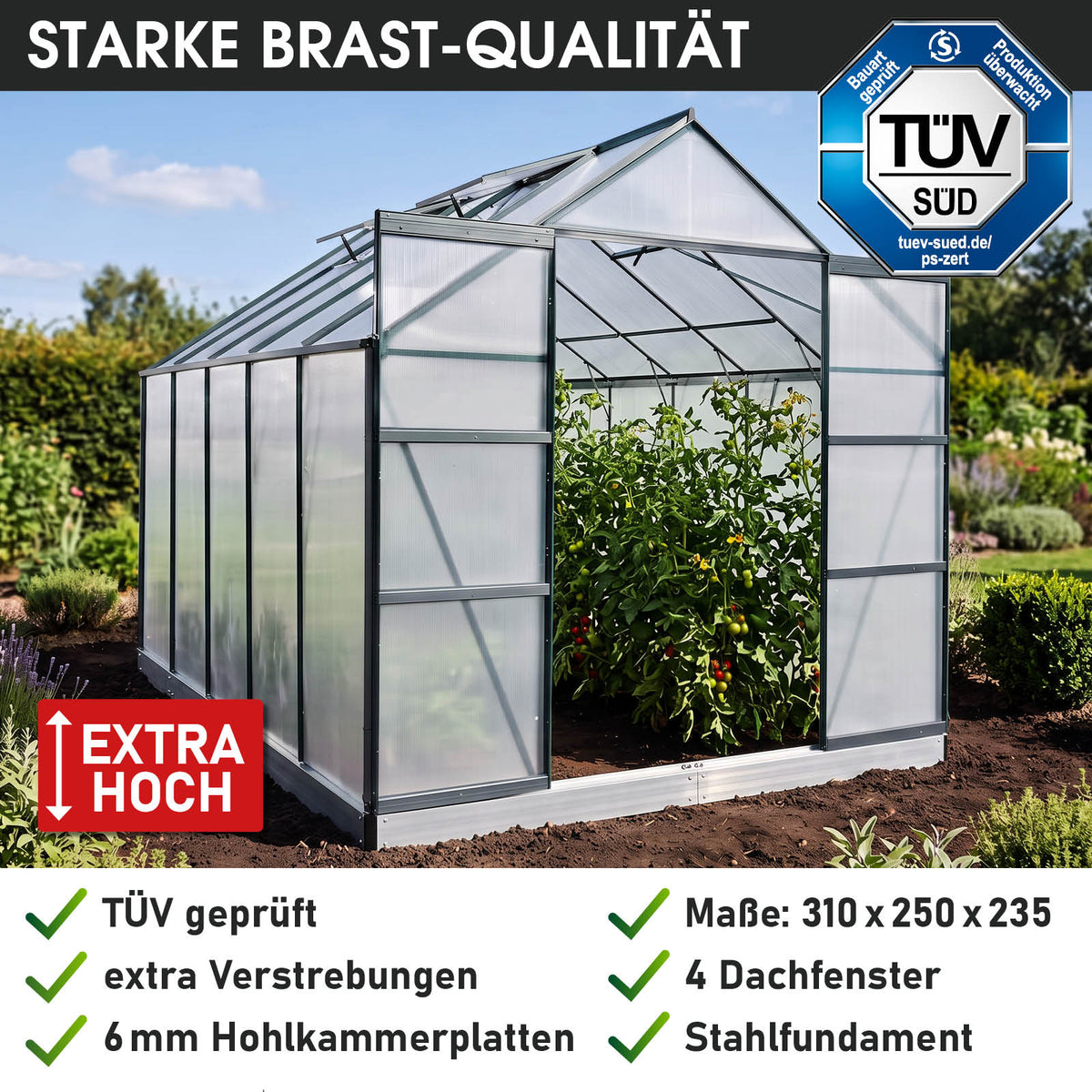 BRAST Aluminium-Gewächshaus 310x250x235 Anthrazit