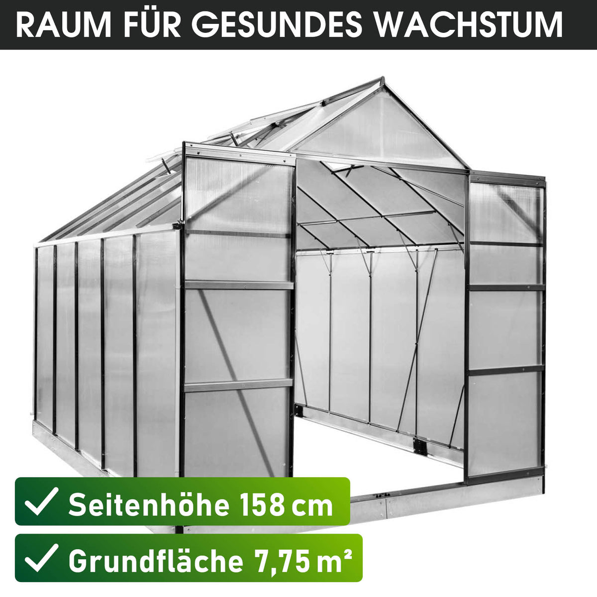 BRAST Aluminium-Gewächshaus 310x250x235 Anthrazit