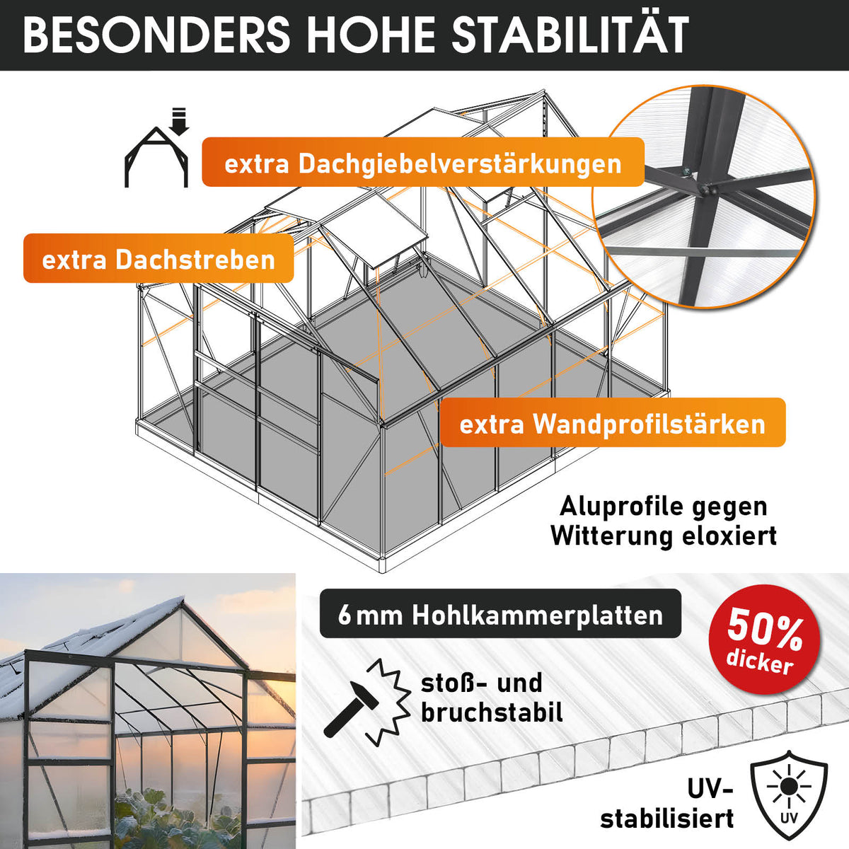 BRAST Aluminium-Gewächshaus 310x250x235 Anthrazit