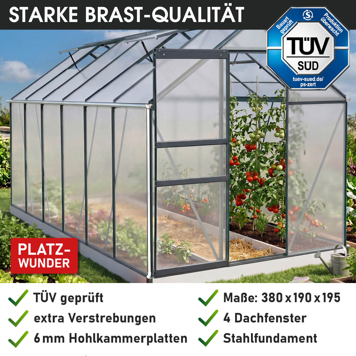 BRAST Aluminium-Gewächshaus 380x190x195 Anthrazit