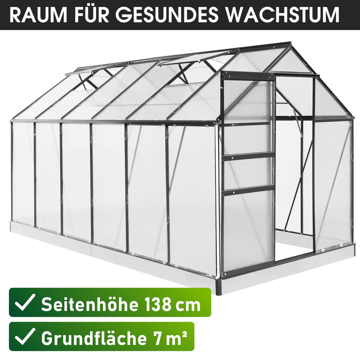 BRAST Aluminium-Gewächshaus 380x190x195 Anthrazit