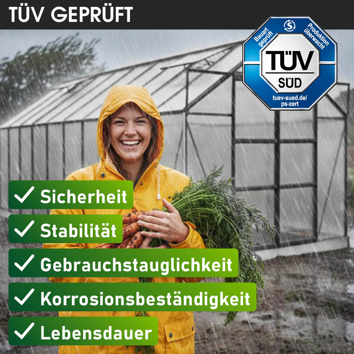 BRAST Aluminium-Gewächshaus 380x190x195 Anthrazit