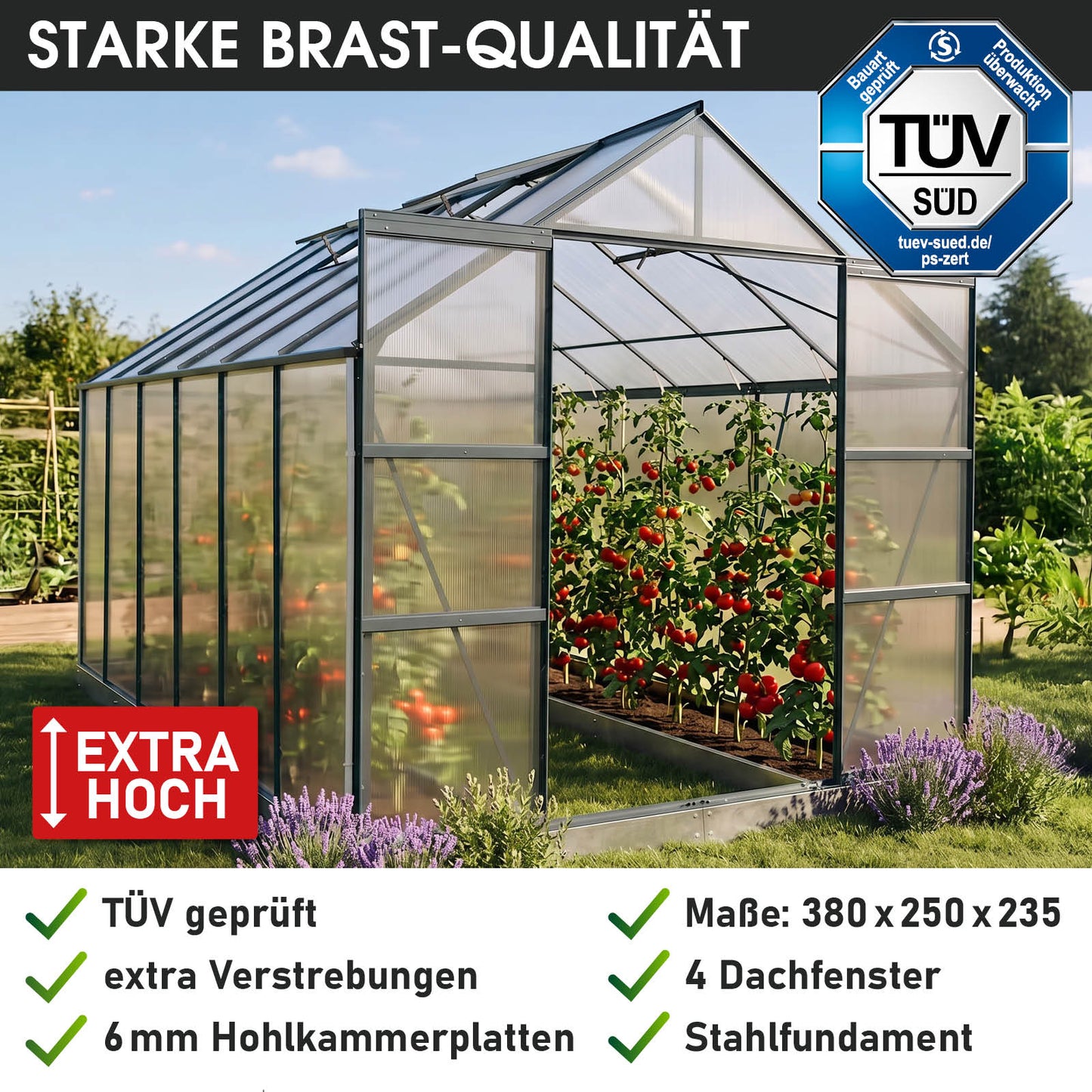 BRAST Aluminium-Gewächshaus 380x250x235 Anthrazit