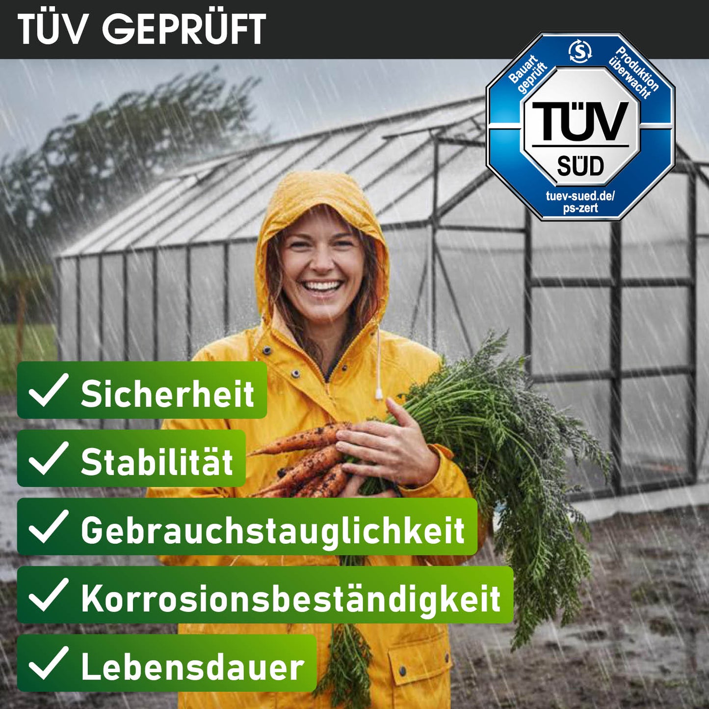 BRAST Aluminium-Gewächshaus 380x250x235 Anthrazit