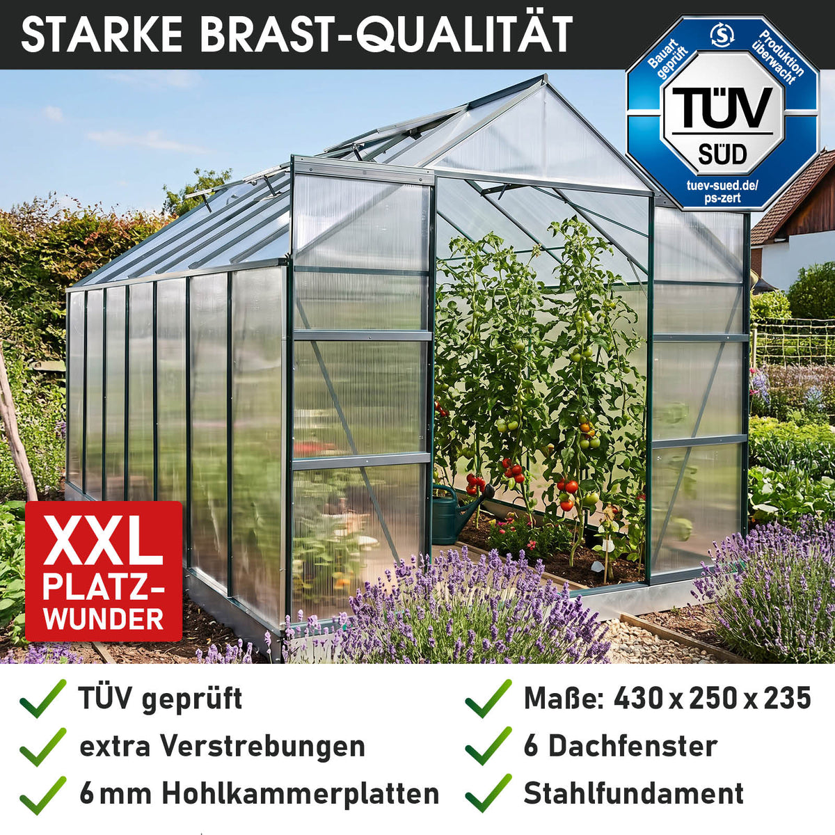 BRAST Aluminium-Gewächshaus 430x250x235 Anthrazit