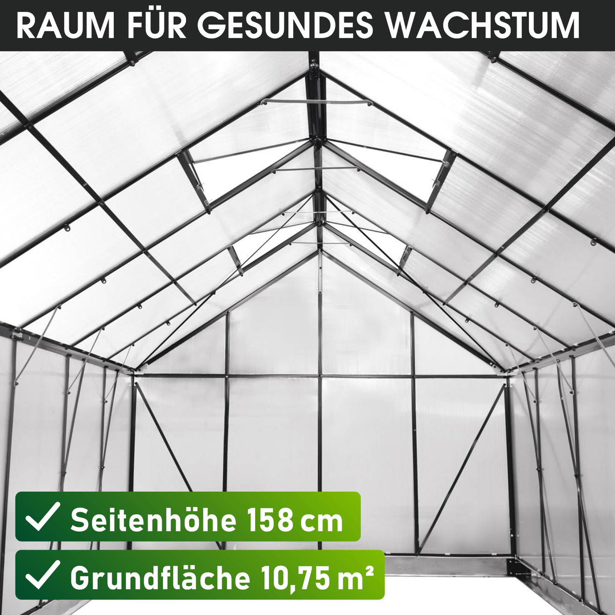 BRAST Aluminium-Gewächshaus 430x250x235 Anthrazit