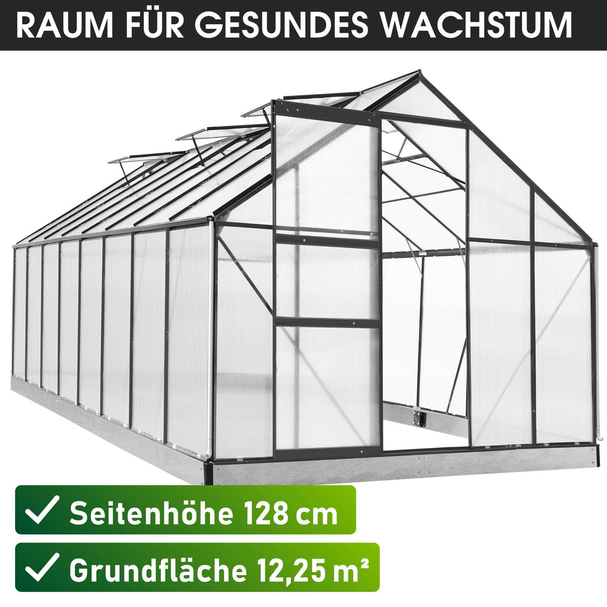 BRAST Aluminium-Gewächshaus 490x250x205 Anthrazit